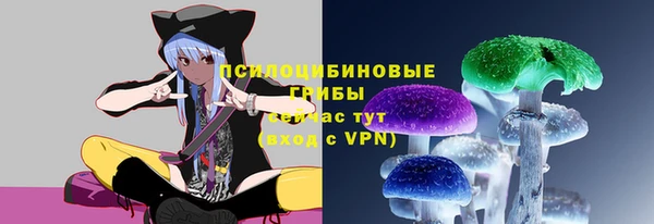 бошки Магас