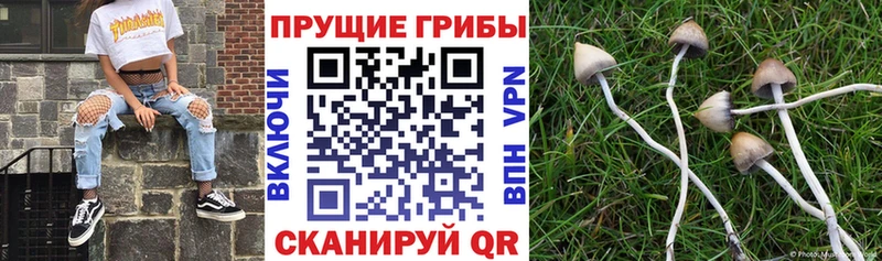 наркошоп  Нефтеюганск  Галлюциногенные грибы Cubensis 